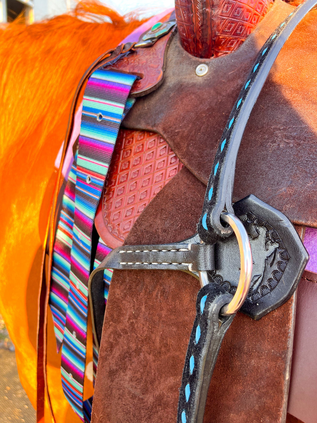 Hustle and Home BuckStitch Betty Tack Set Turquoise/Black