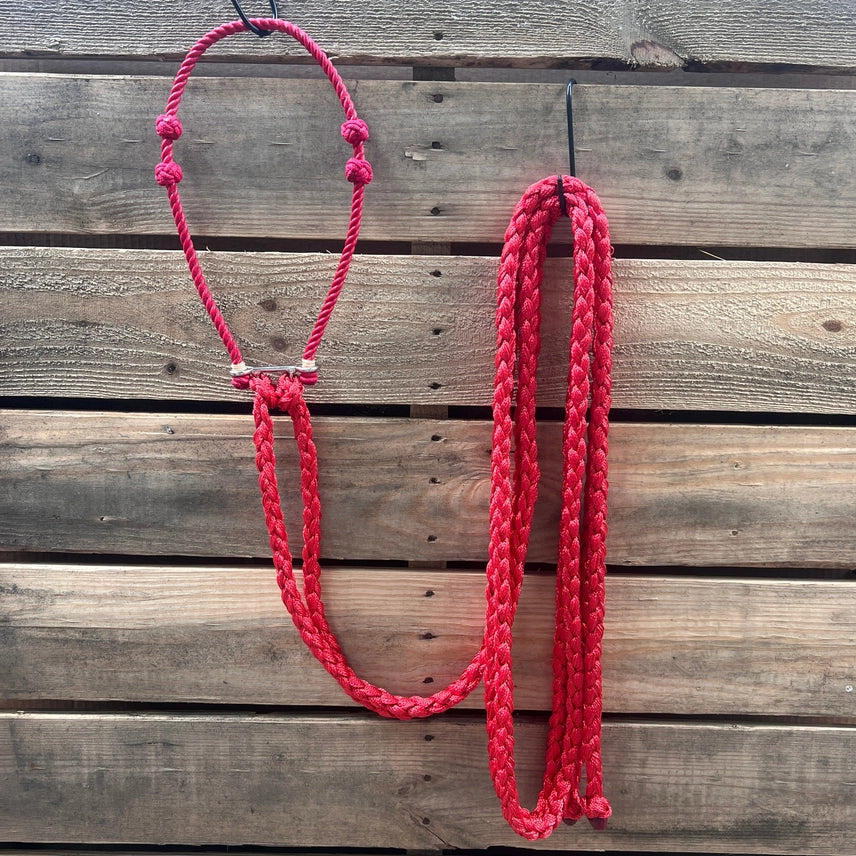 Lariat Hackamore and Double Reins - Assorted Colors