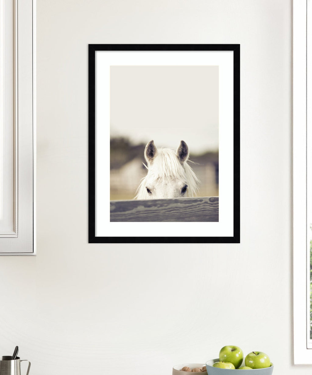 Equine Crop by Robert Cadloff Framed Wall Art Print