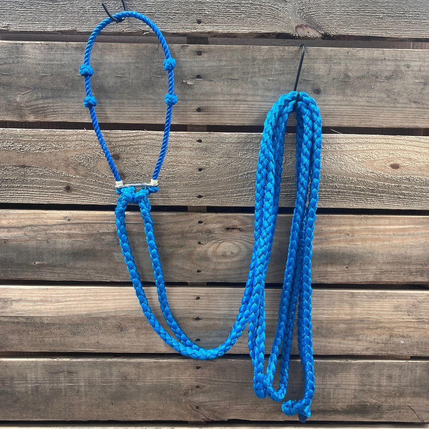 Lariat Hackamore and Double Reins - Assorted Colors