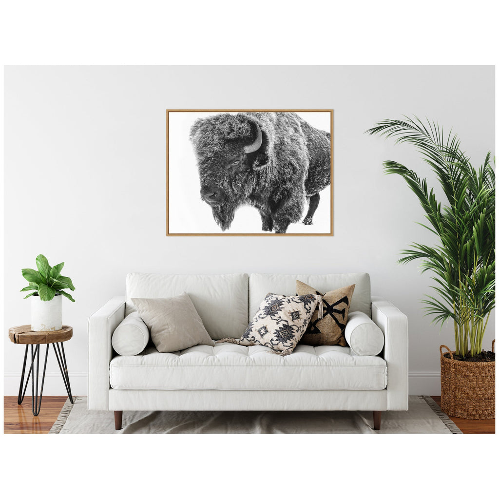 Bison in Snow Black and White by Amy Peterson Framed Canvas Wall Art Print