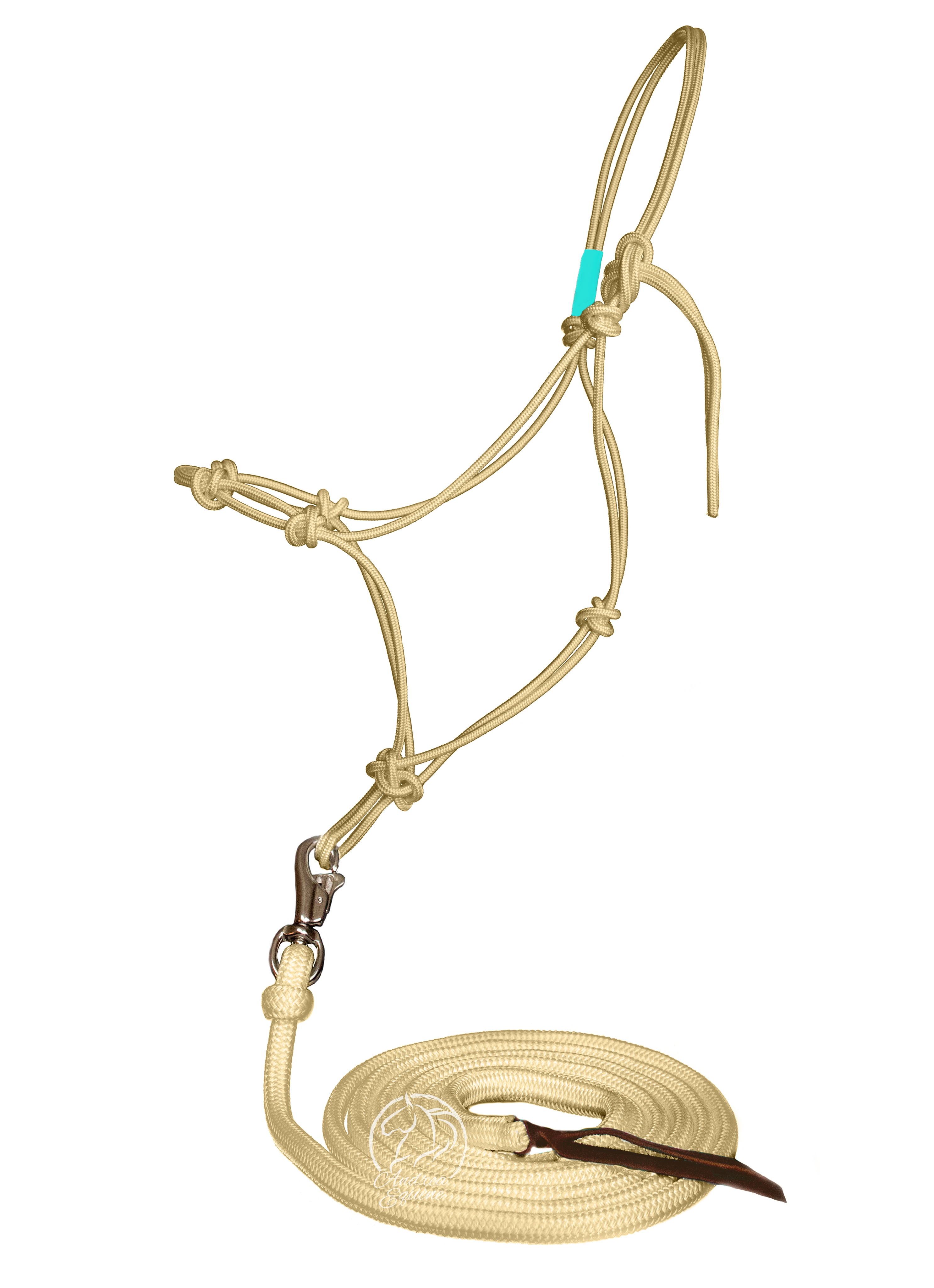 Andrea Equine Clinician 4 Knot Halter and 14ft Lead Set - 10 Colors!