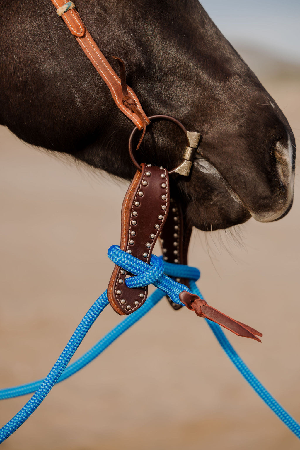 Andrea Equine "California" Collection Set