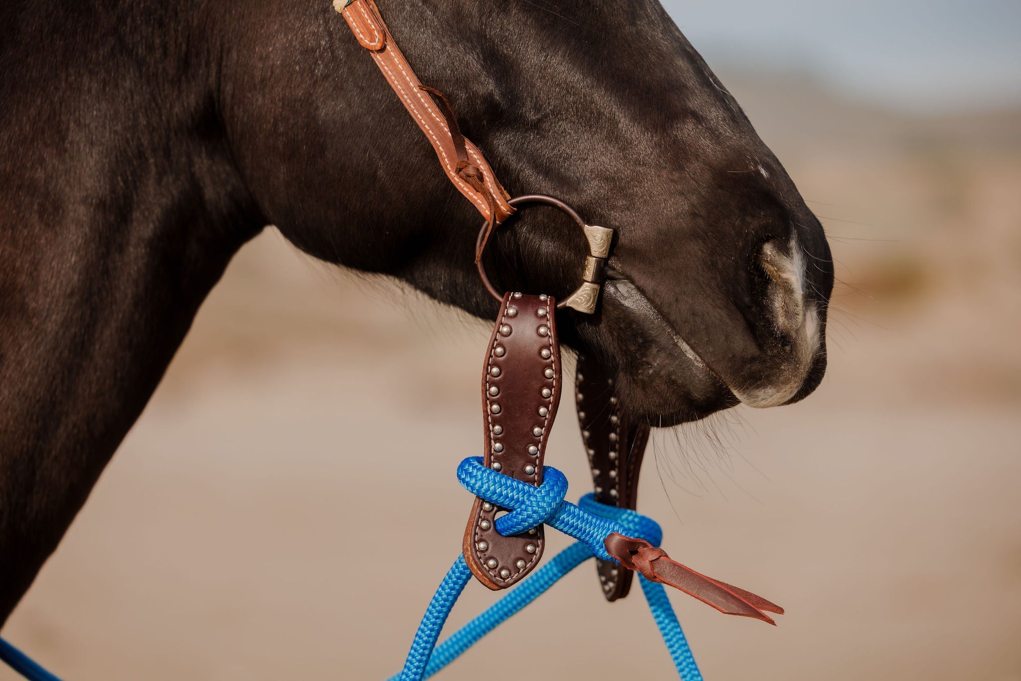 Andrea Equine "California" Collection Set
