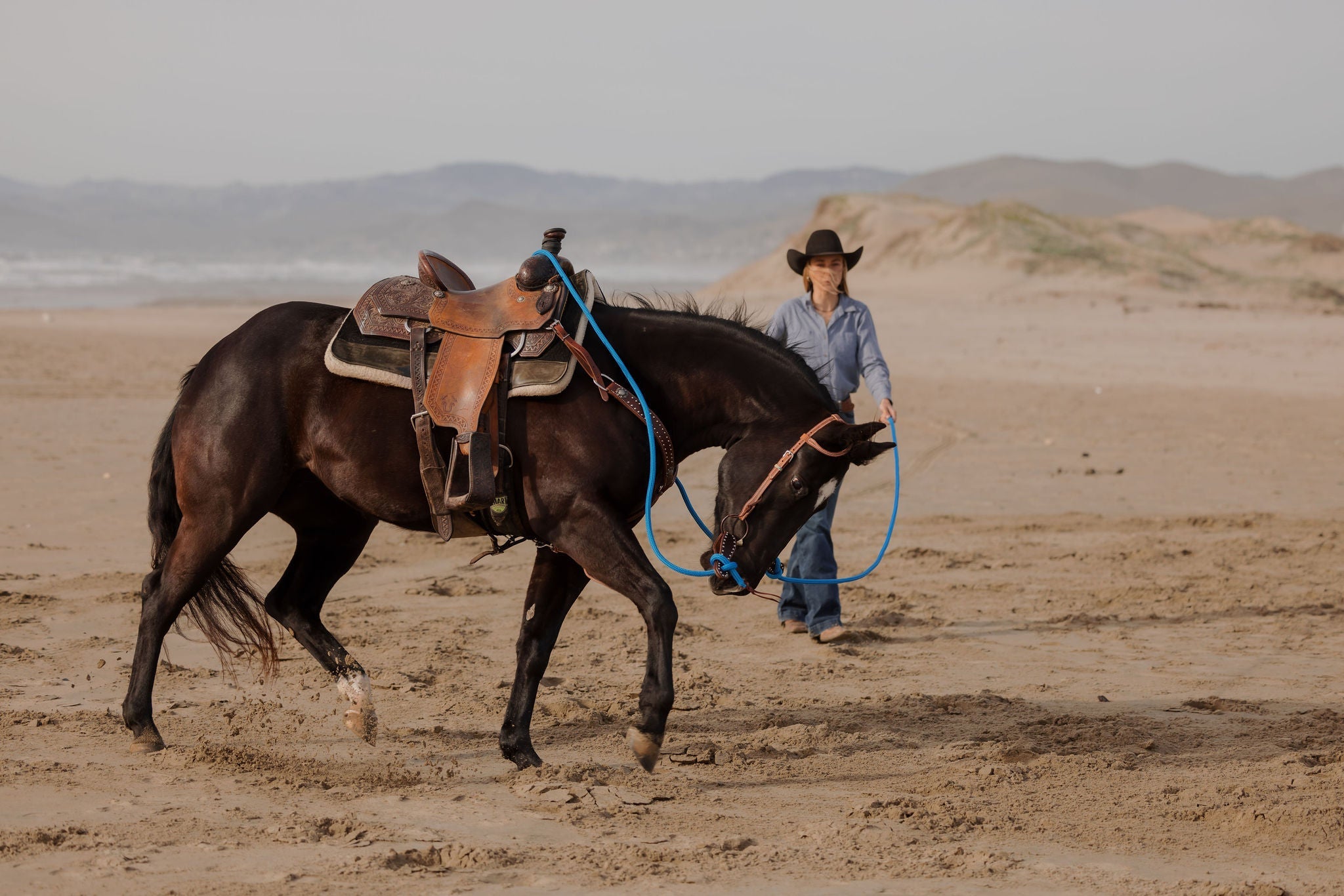 Andrea Equine "California" Collection Set