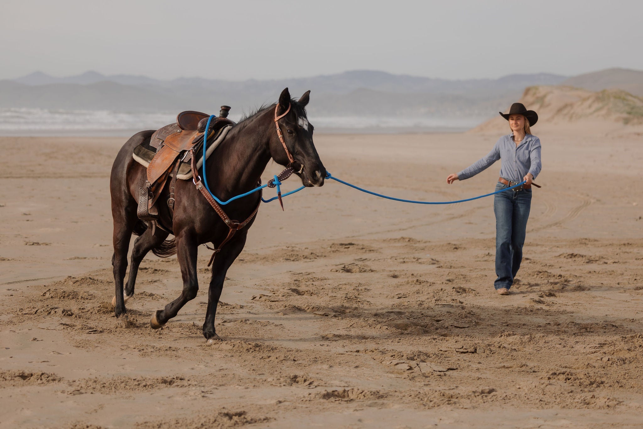 Andrea Equine "California" Collection Set