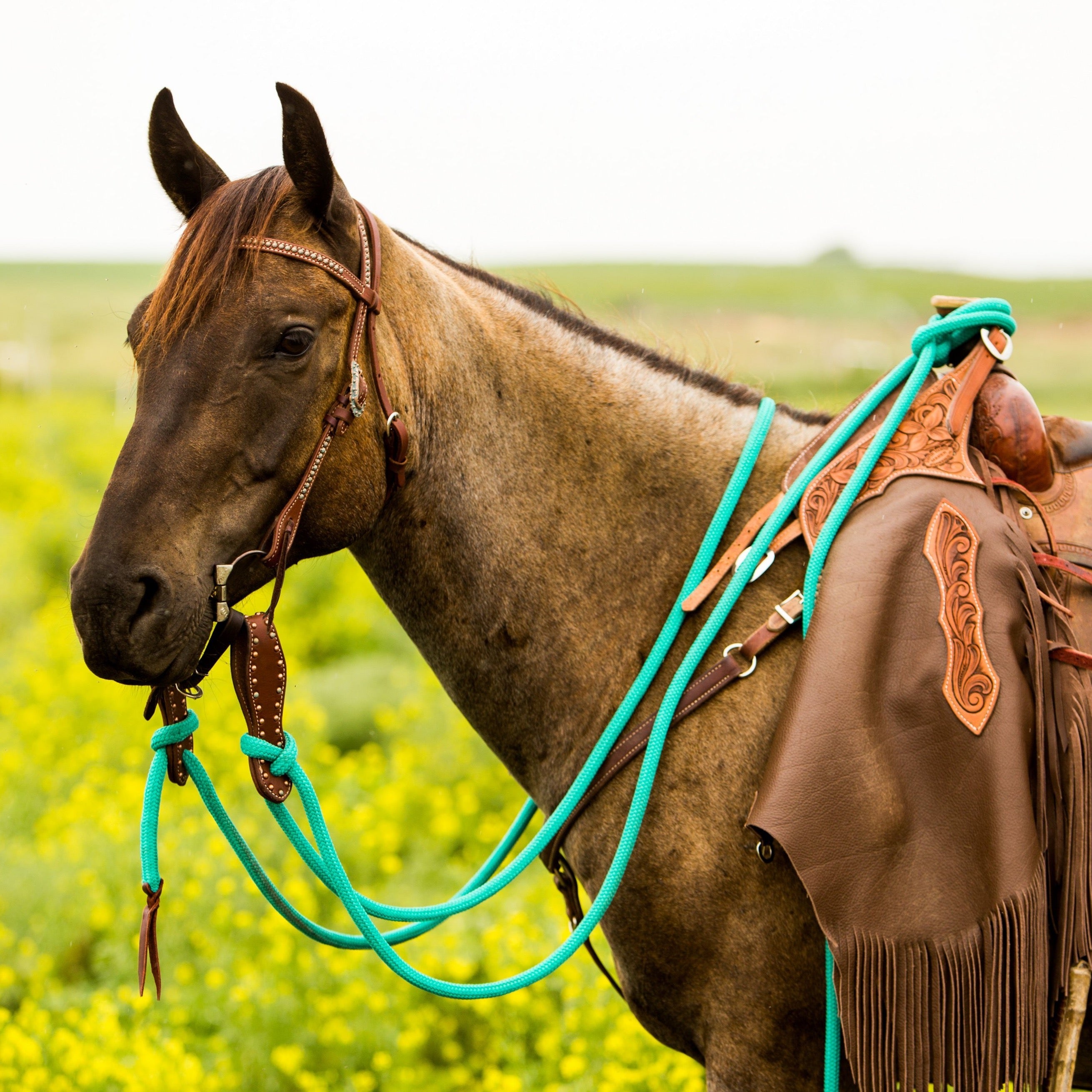 22 Ft Clinician Mecate Reins - 17 Colors!