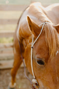 Hustle and Home Hand Tied Rope Headstall