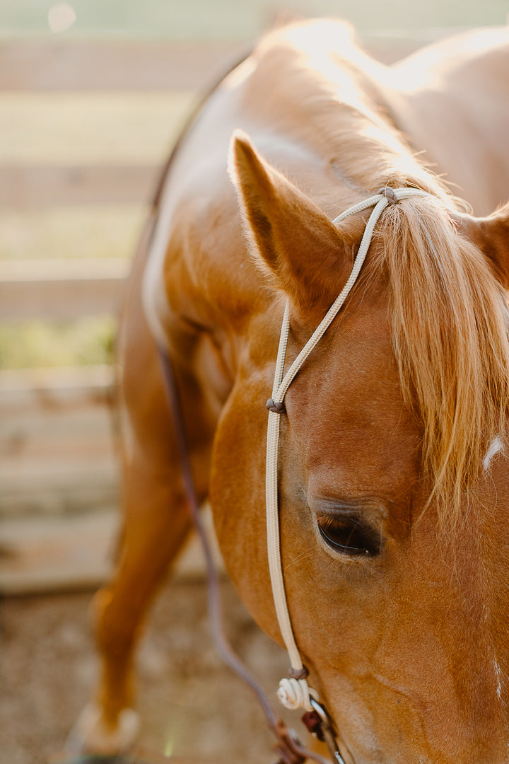 Hustle and Home Hand Tied Rope Headstall