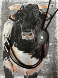 The Cody Bolo