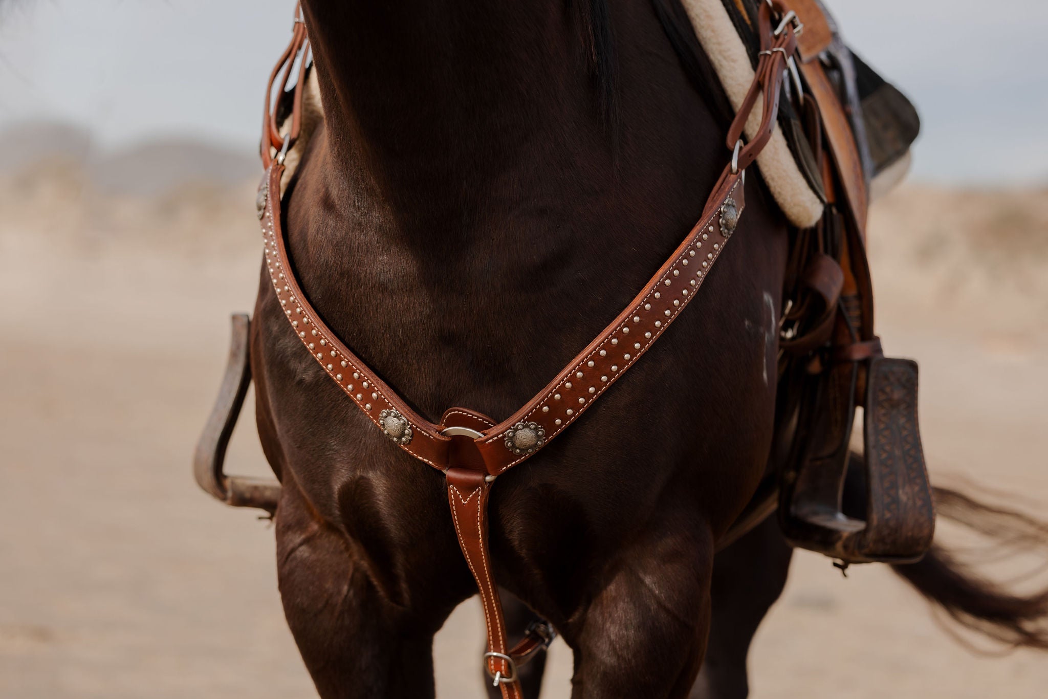 Andrea Equine California Dotted Chocolate Harness Breast Collar