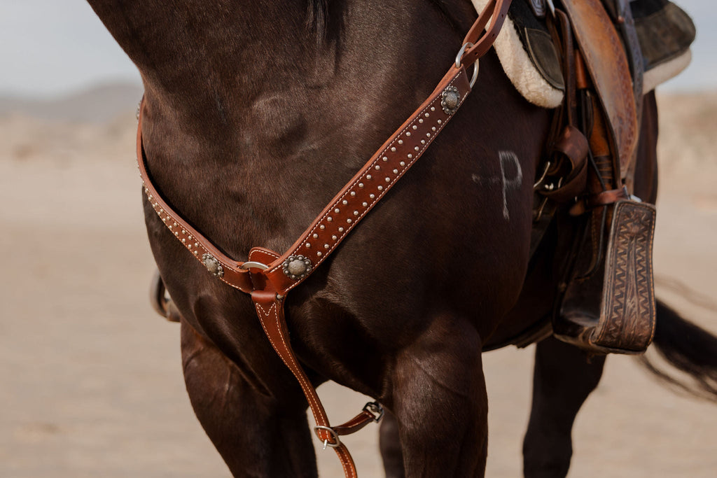 Andrea Equine California Dotted Chocolate Harness Breast Collar
