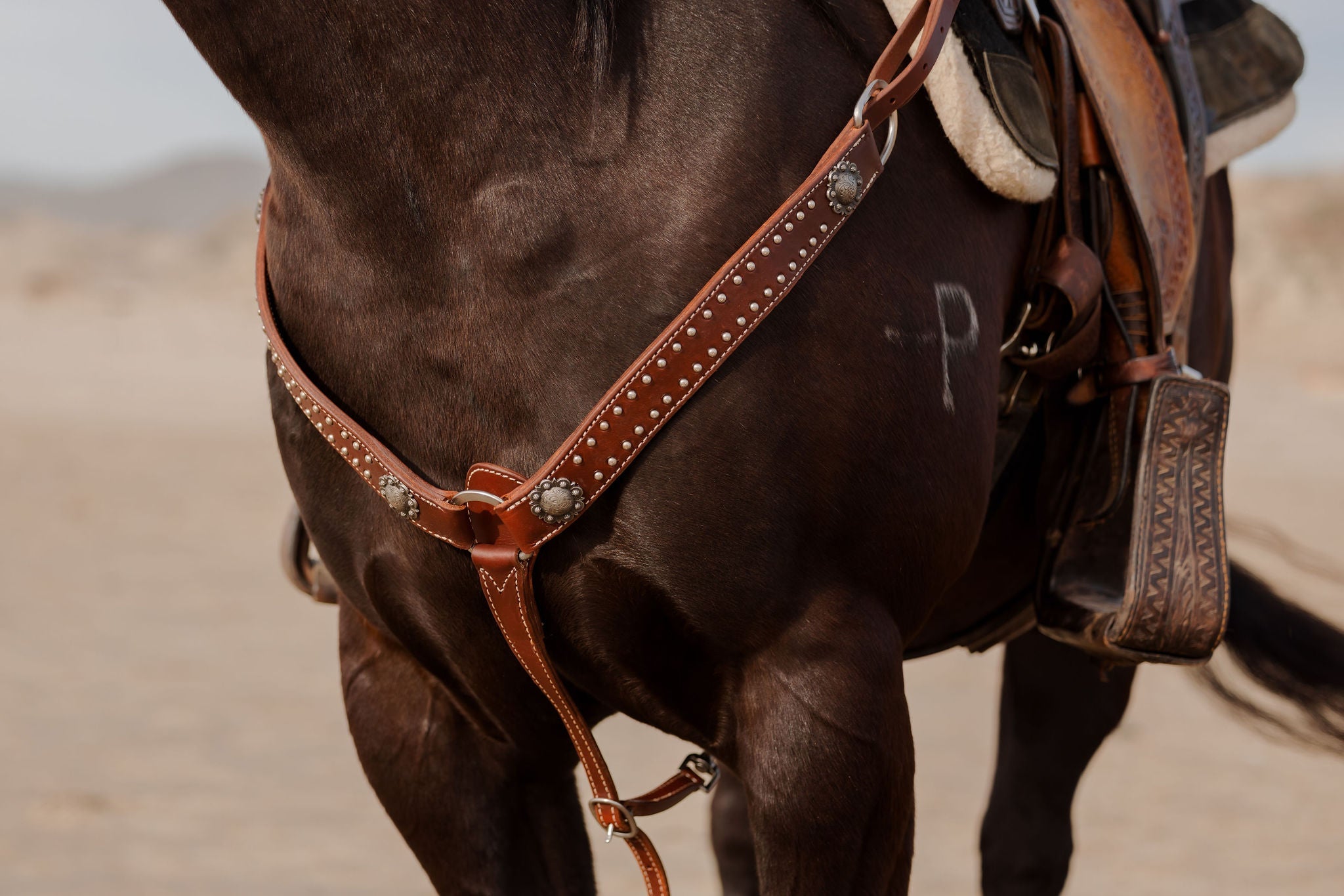 Andrea Equine California Dotted Chocolate Harness Breast Collar