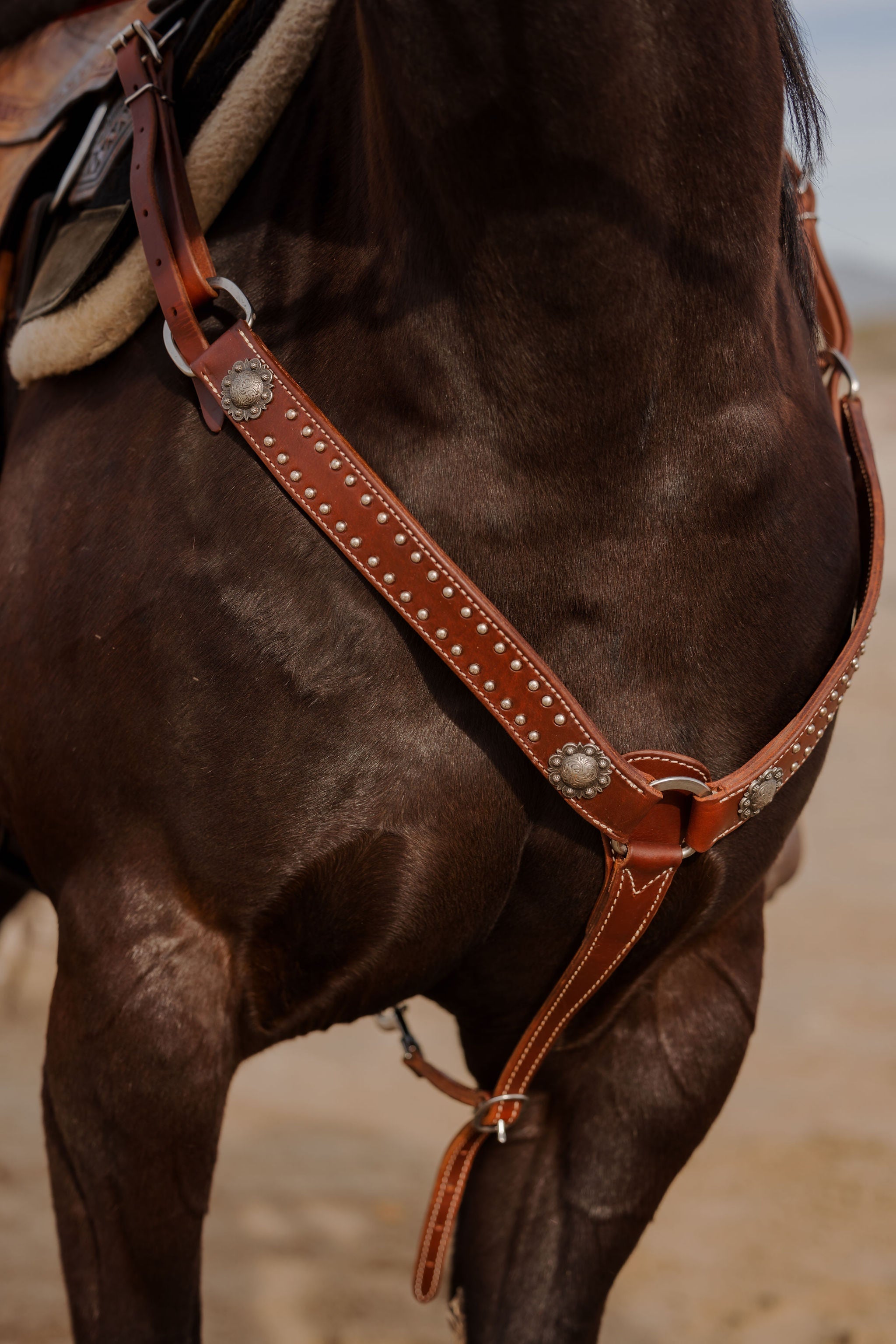 Andrea Equine "California" Collection Set