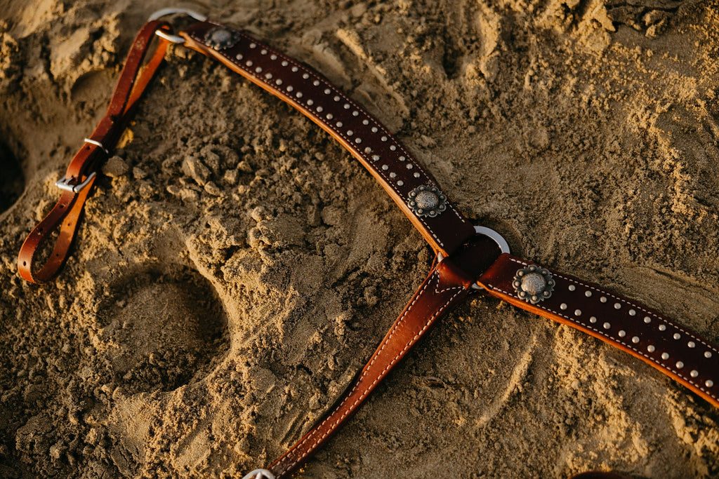 Andrea Equine California Dotted Chocolate Harness Breast Collar