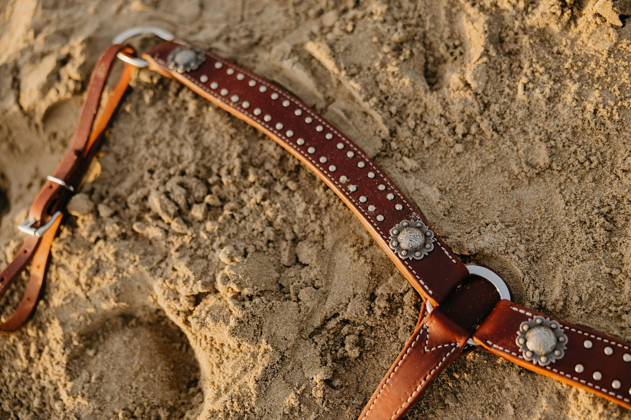 Andrea Equine California Dotted Chocolate Harness Breast Collar
