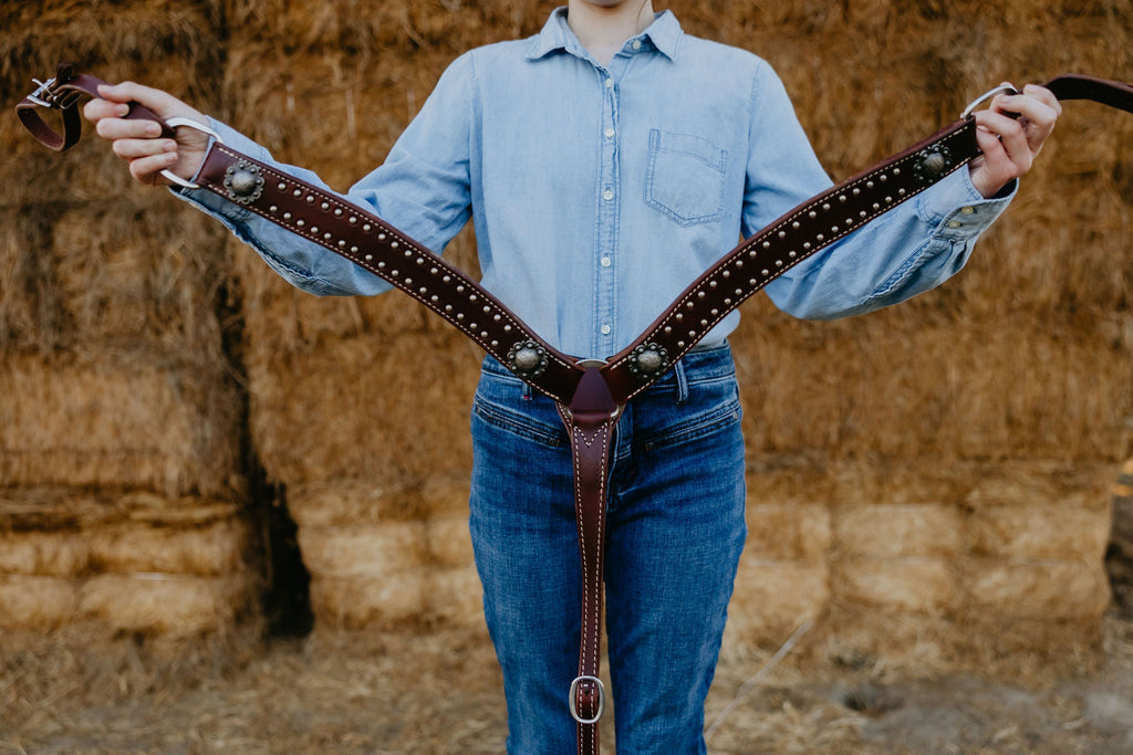 Andrea Equine California Dotted Chocolate Harness Breast Collar