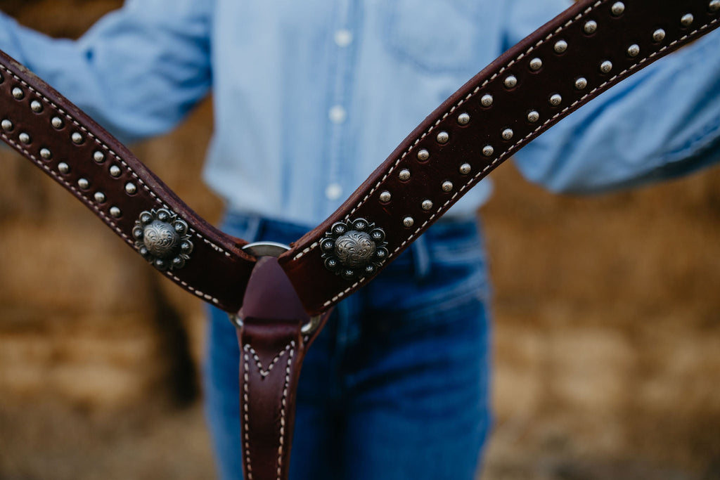 Andrea Equine California Dotted Chocolate Harness Breast Collar