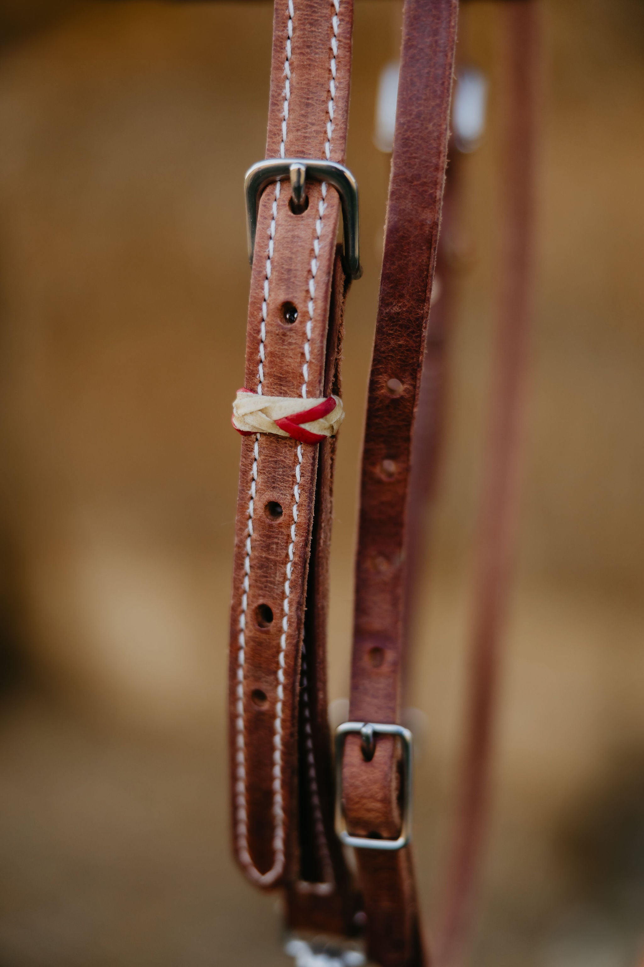 Andrea Equine "Cardinal" Futurity Quick Change Training Browband Headstall