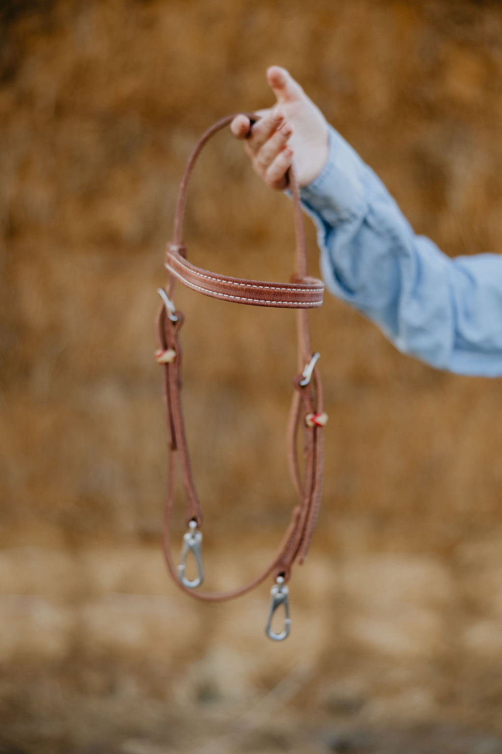 Andrea Equine "Cardinal" Futurity Quick Change Training Browband Headstall