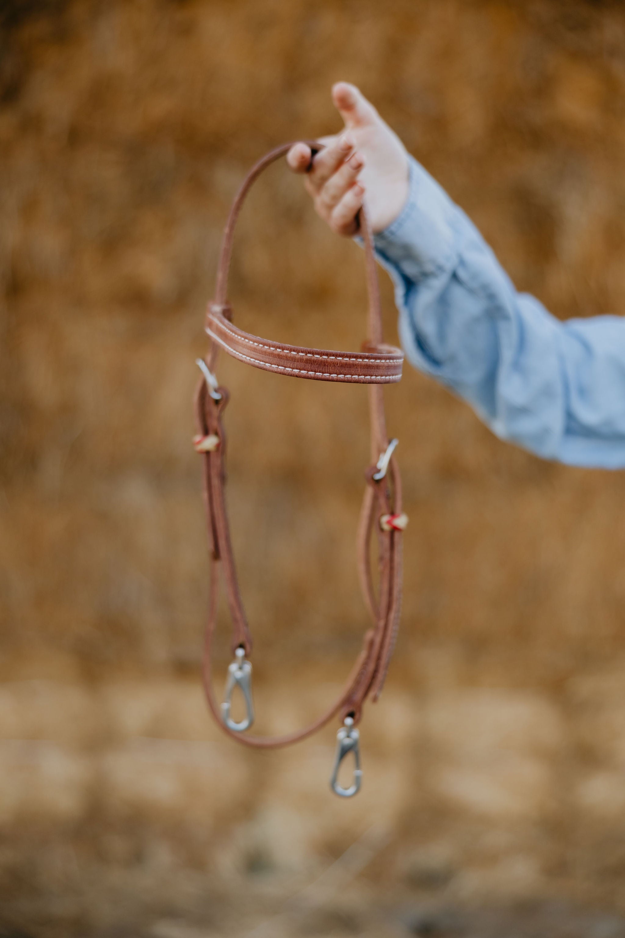 Andrea Equine "Cardinal" Futurity Quick Change Training Browband Headstall