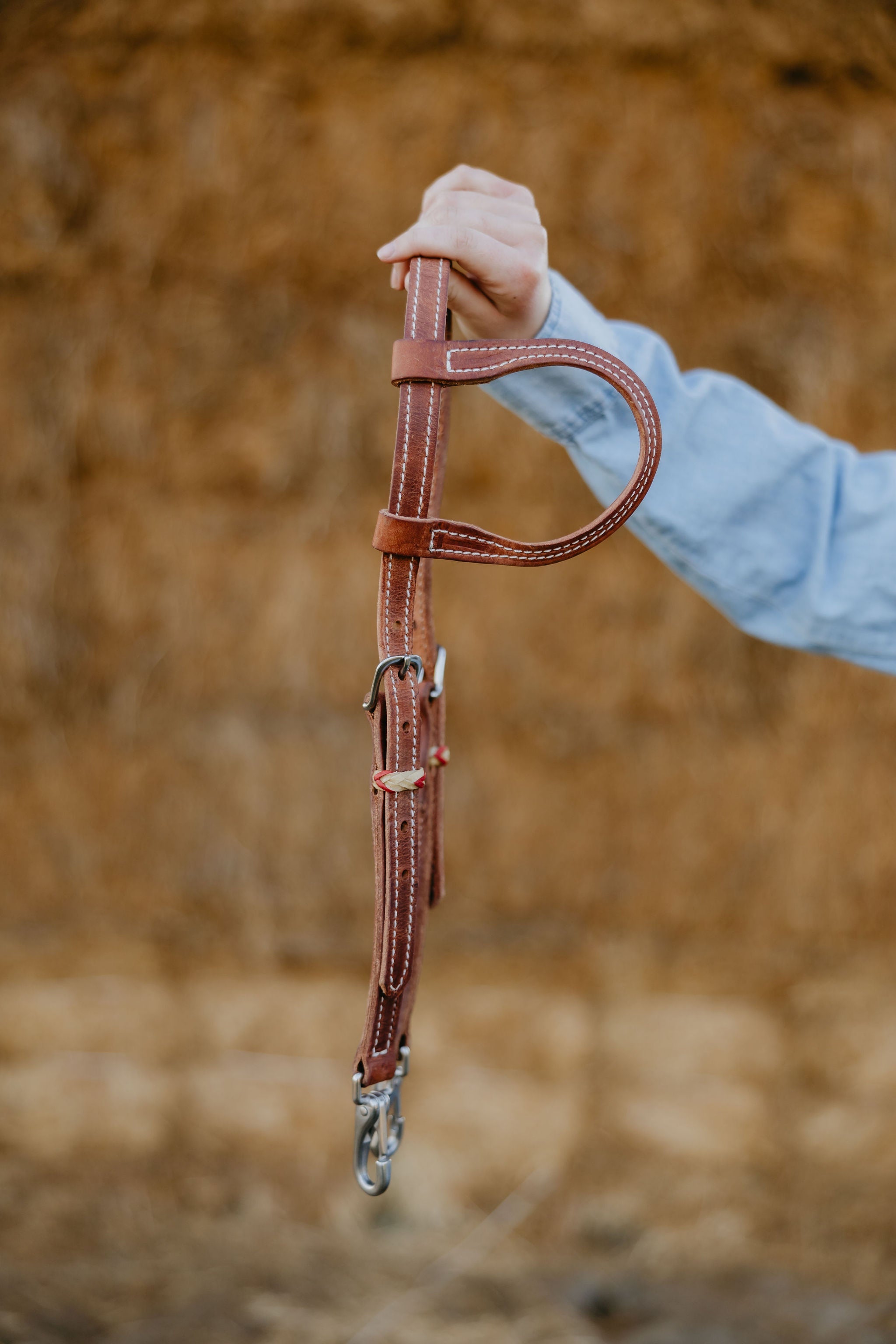 Andrea Equine "Cardinal" Futurity Quick Change Training One Ear Headstall