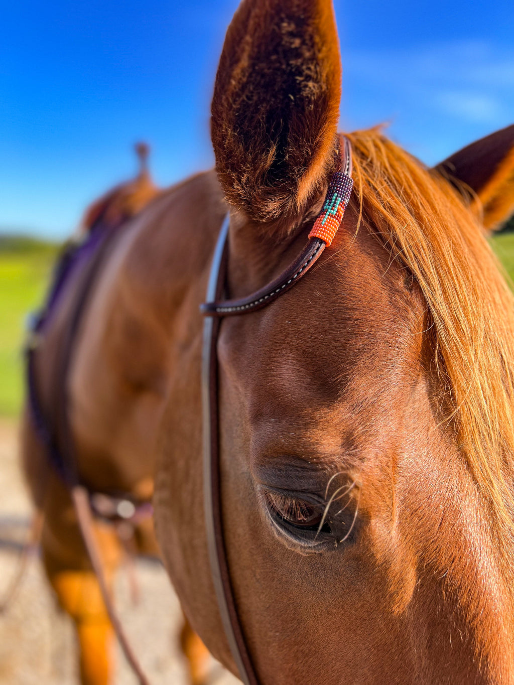 Hustle and Home Desert Night *Mini* Beaded Headstall