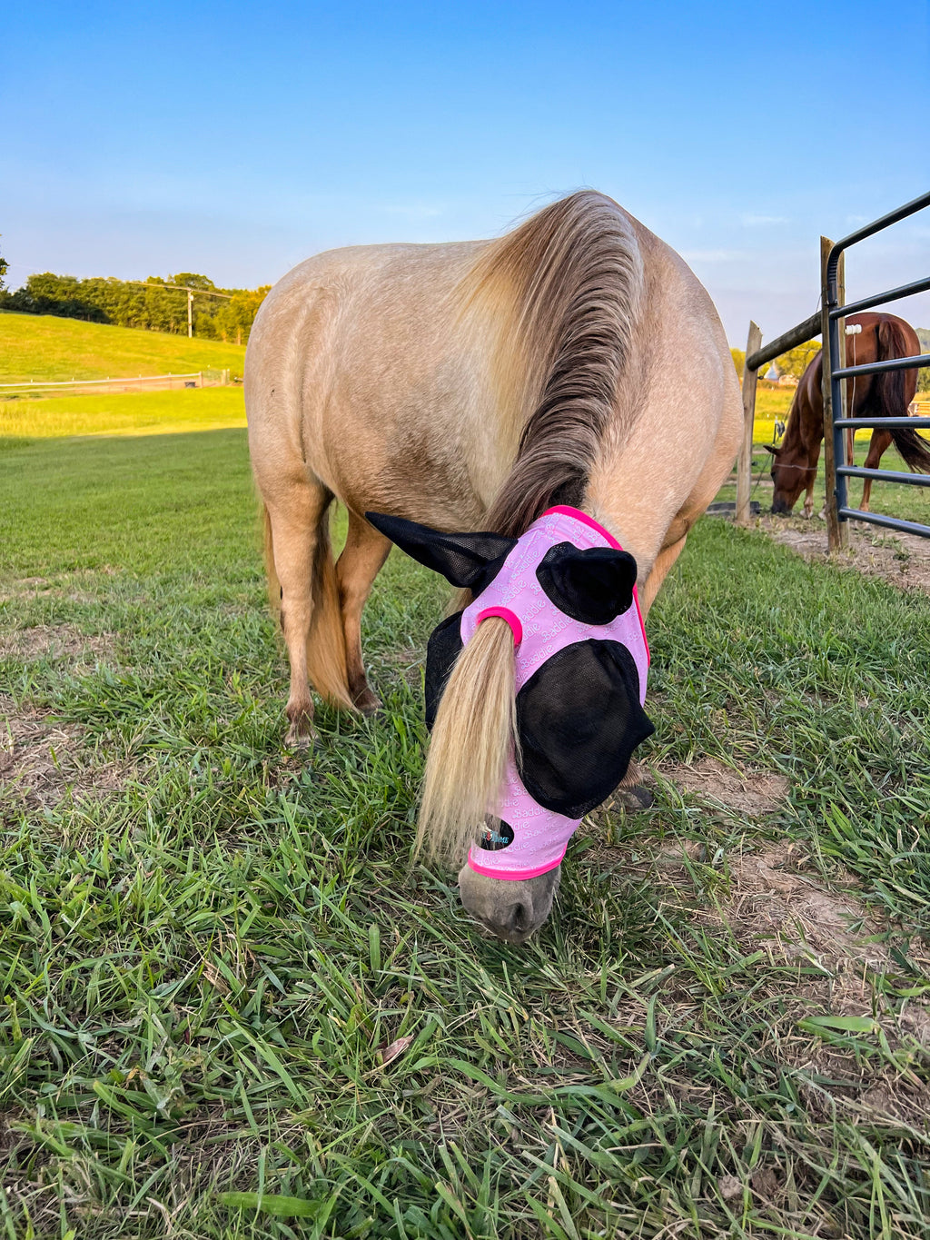 Hustle and Home Baddie Fly Mask - 3 Sizes!