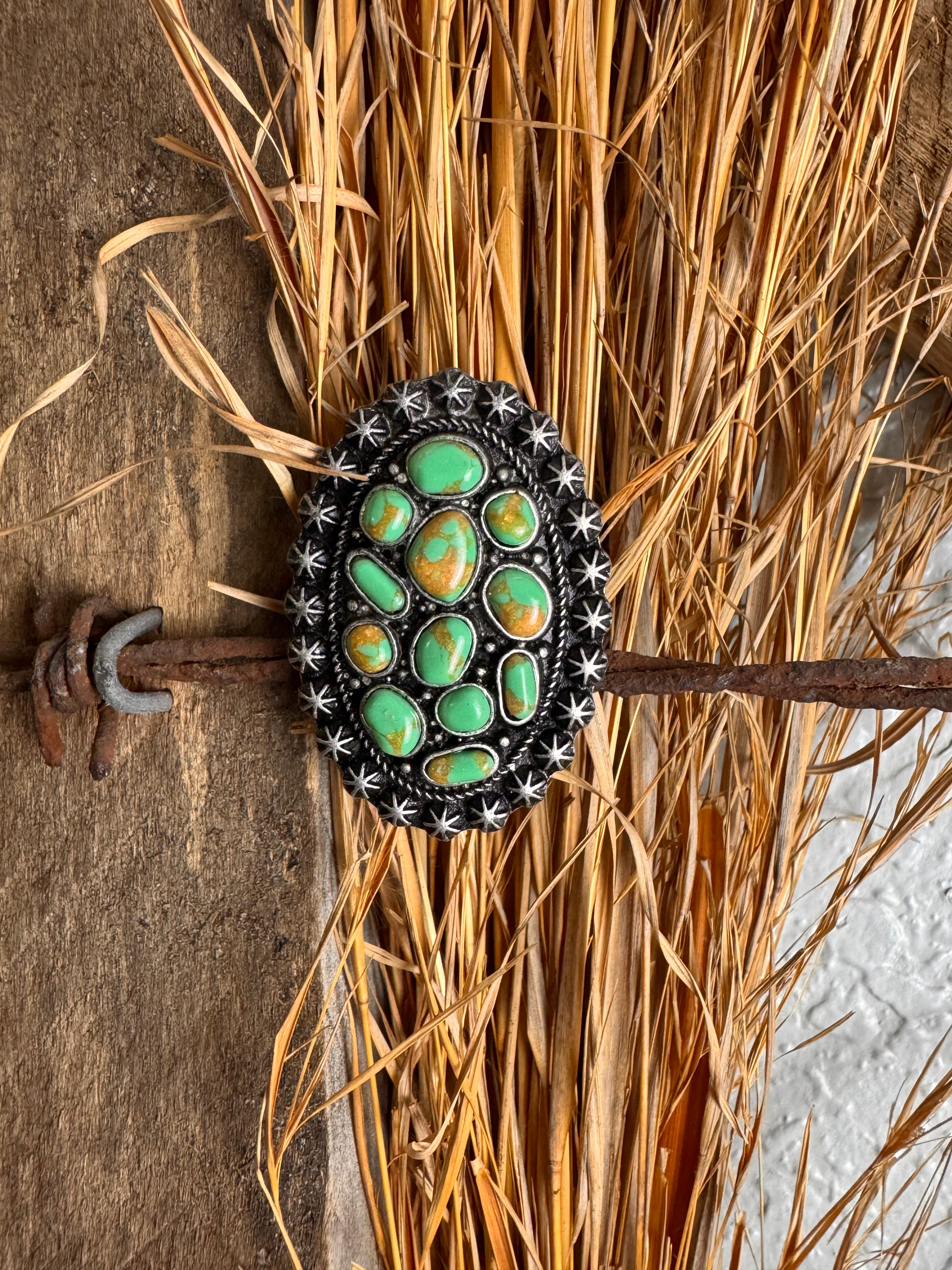 Colorado Cluster Ring