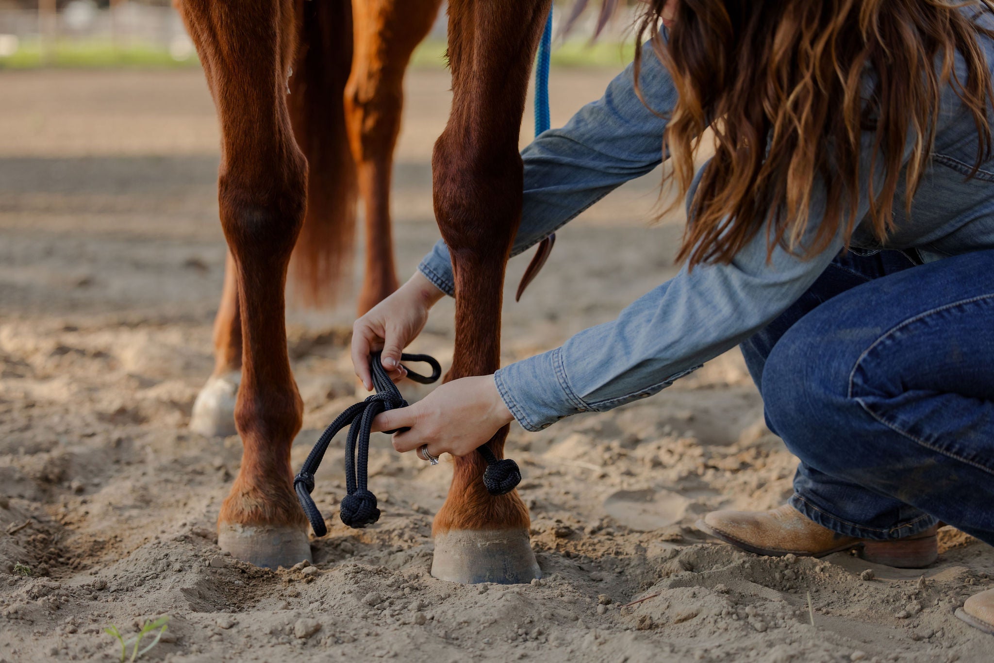 Andrea Equine Clinician Front Hobbles