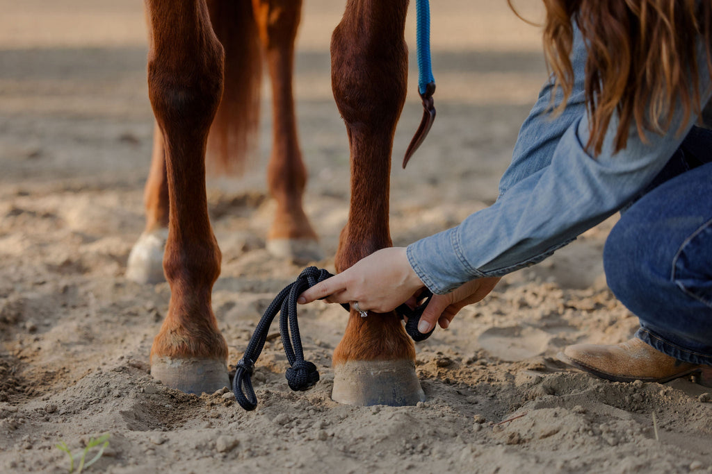 Andrea Equine Clinician Front Hobbles