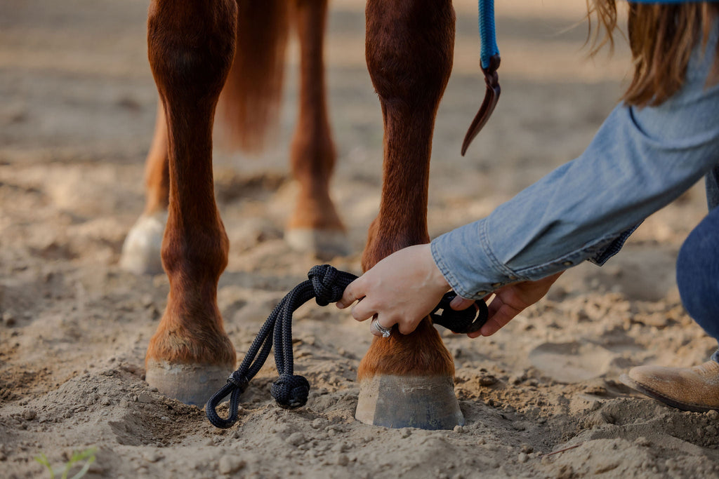 Andrea Equine Clinician Front Hobbles