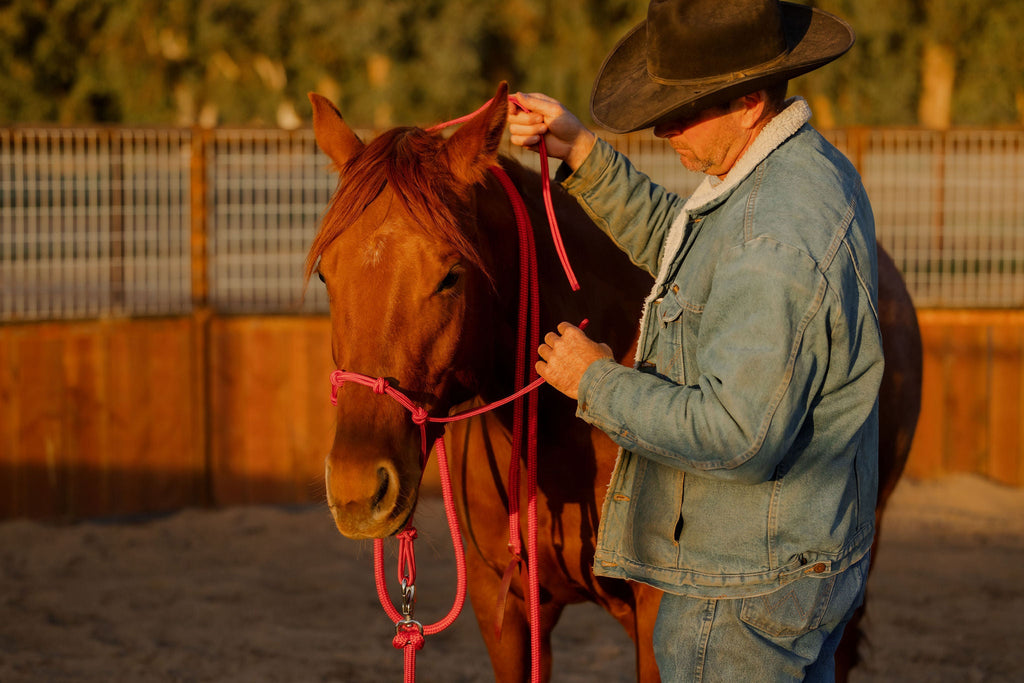 Andrea Equine Clinician 4 Knot Halter and 14ft Lead Set - 10 Colors!