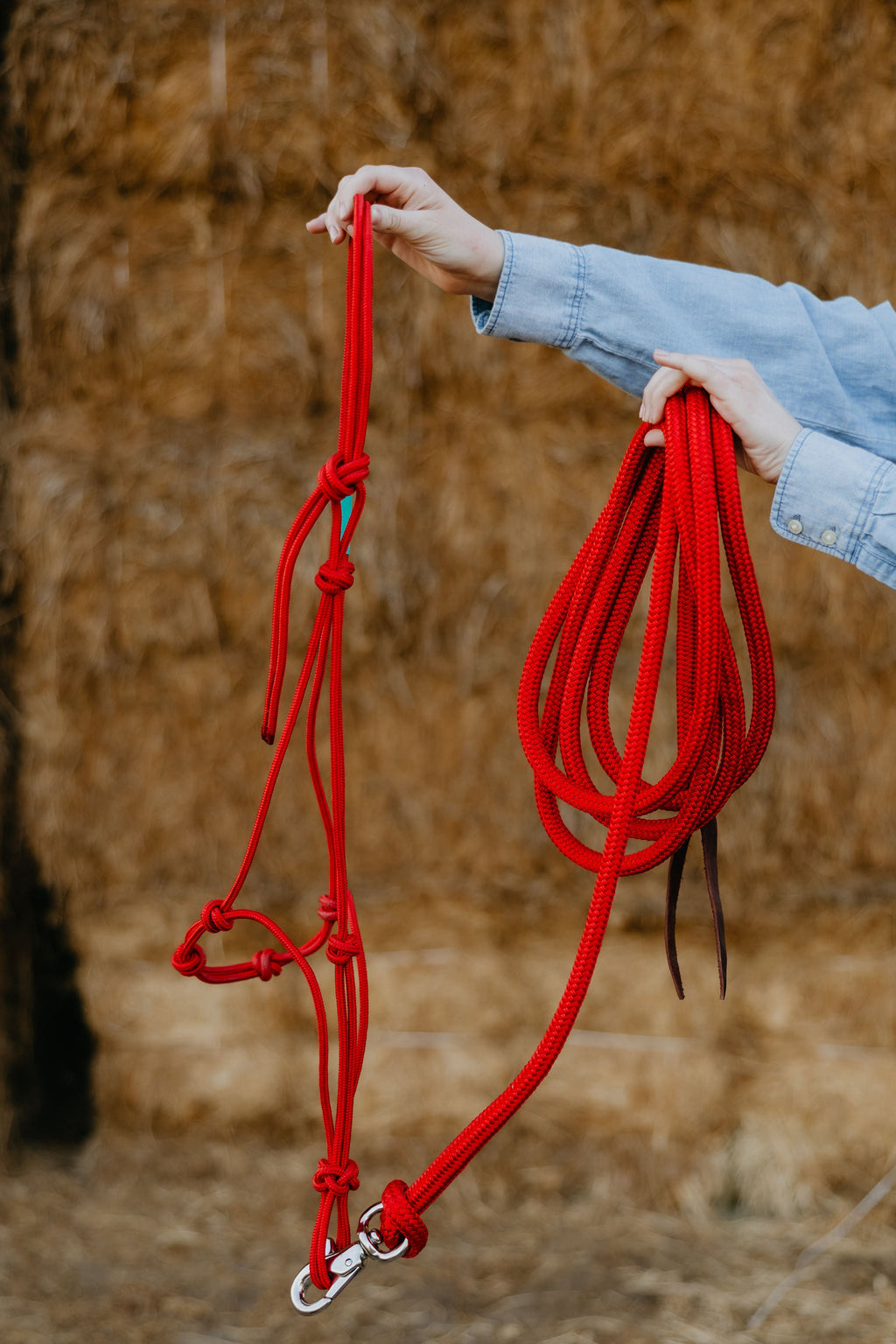 Andrea Equine Clinician 4 Knot Halter and 14ft Lead Set - 10 Colors!