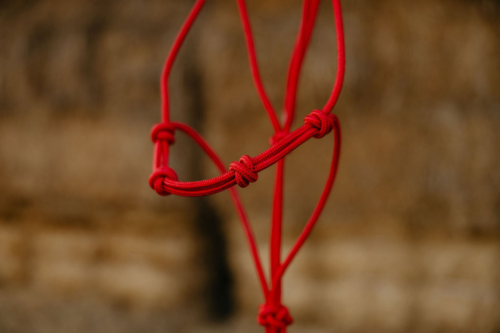 Andrea Equine Clinician 4 Knot Halter and 14ft Lead Set - 10 Colors!