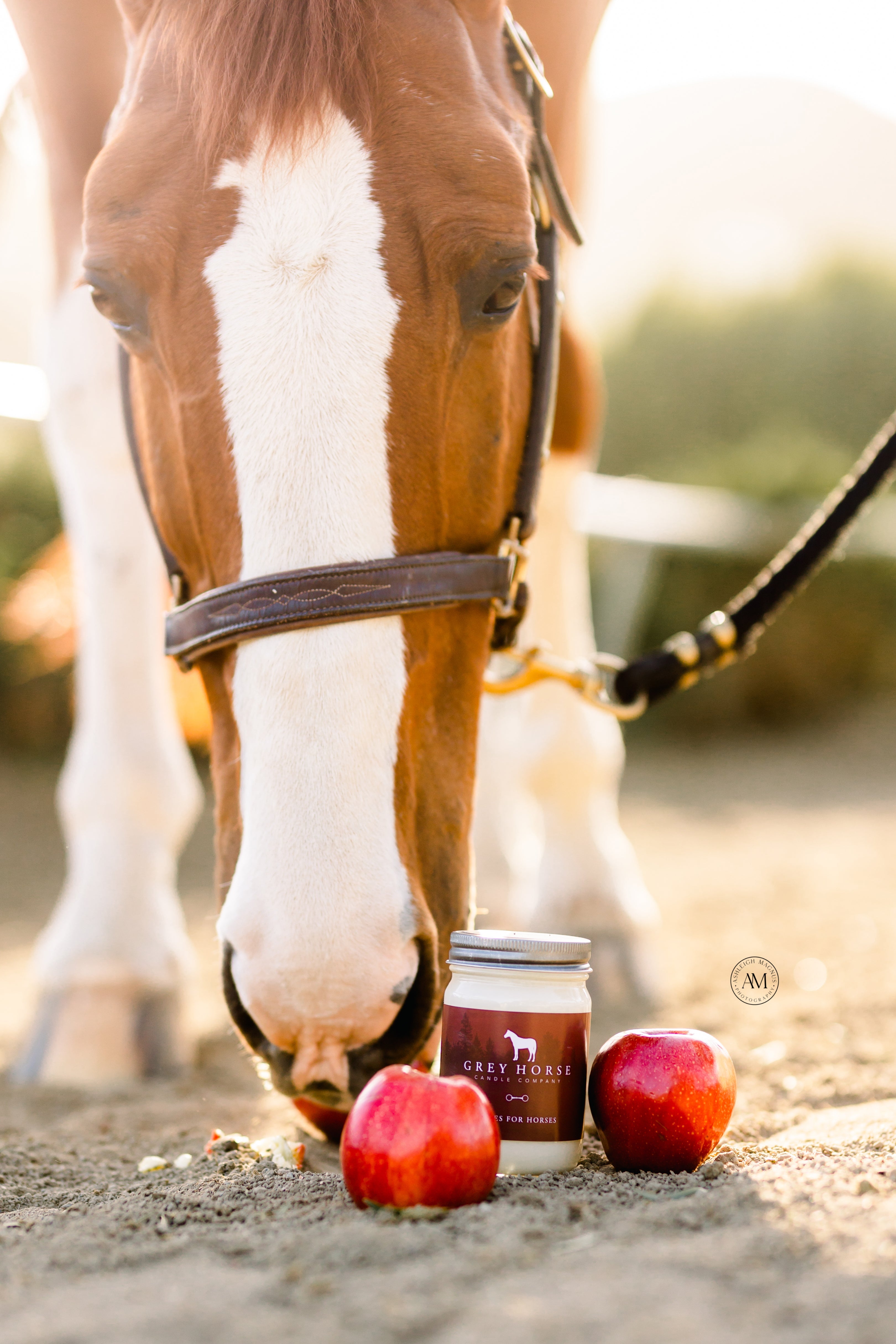 Apples For Horses Candle