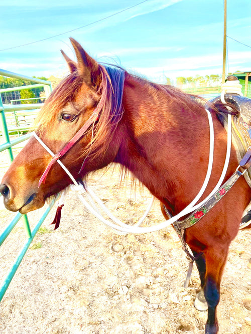 Andrea Equine Loping Hackamore: Turquoise or Natural Colored