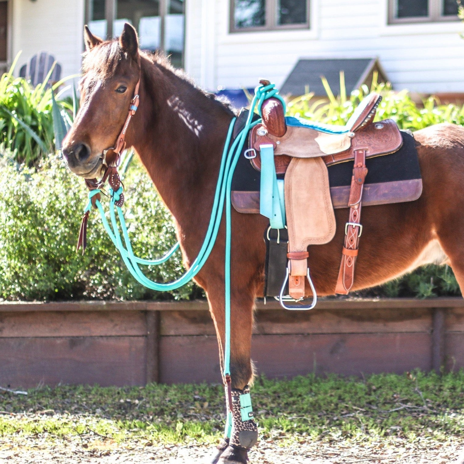 22 Ft Clinician Mecate Reins - 17 Colors!