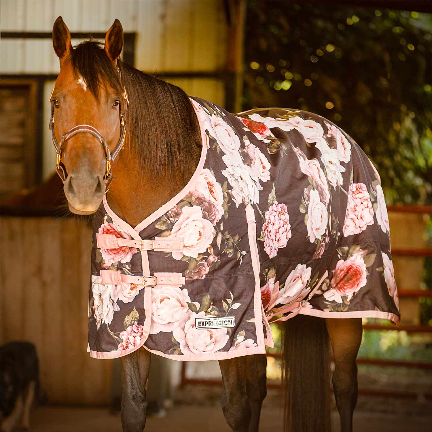 Jeffers Expression 1200 Denier Standard Neck Turnout Horse Blanket, 240 Gram - Pick Your Design!