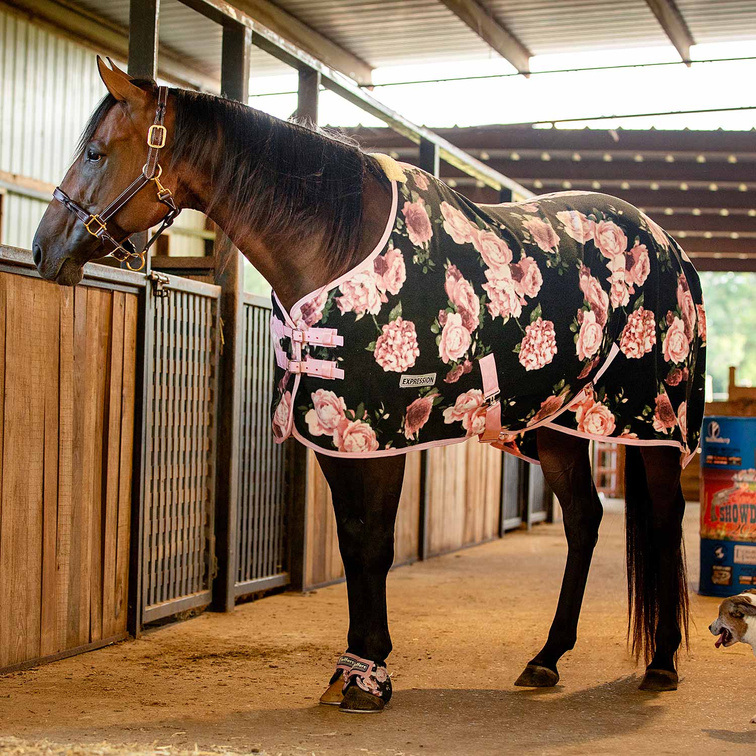 Jeffers Expression Standard Neck Fleece Horse Cooler - Pick Your Design!