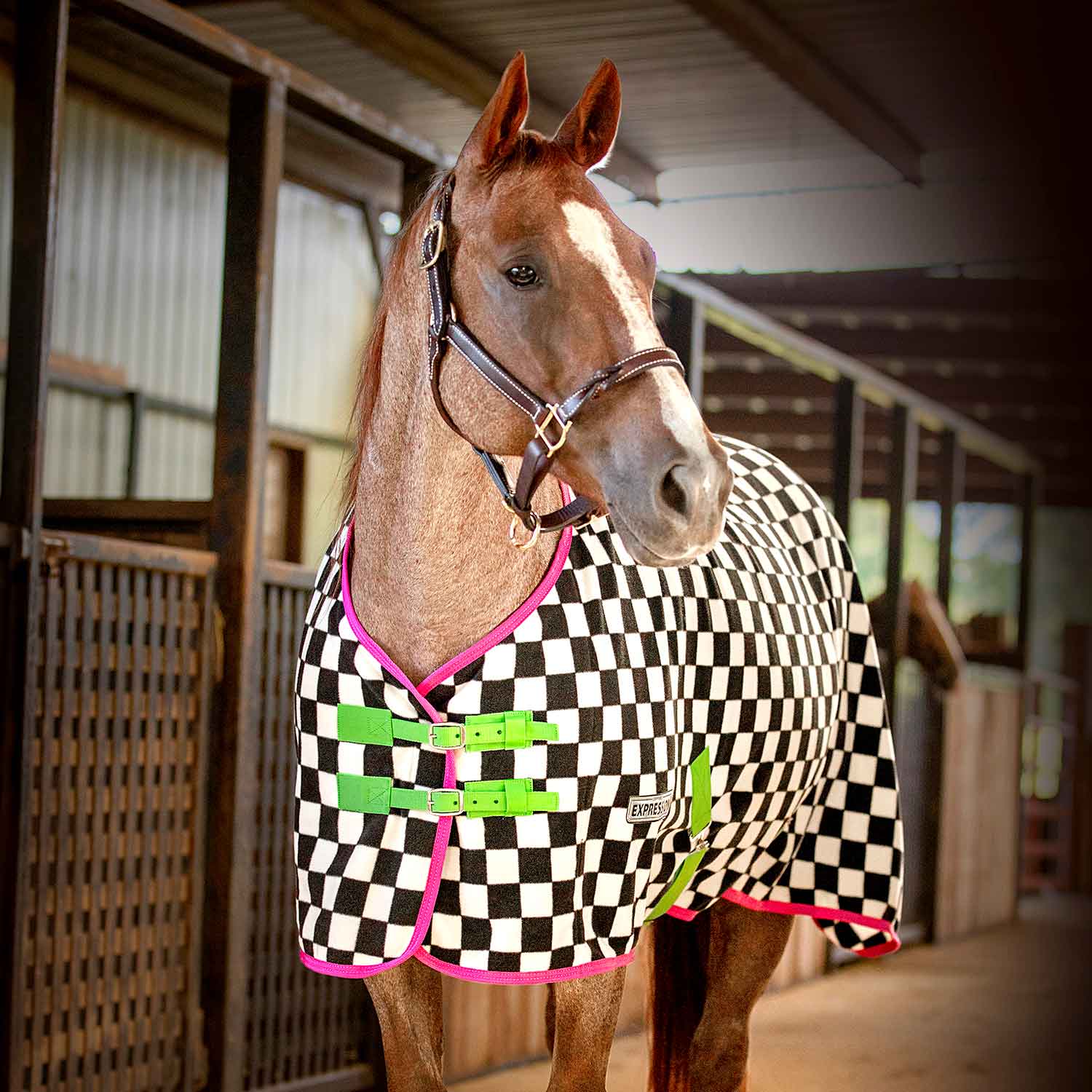 Jeffers Expression Standard Neck Fleece Horse Cooler - Pick Your Design!