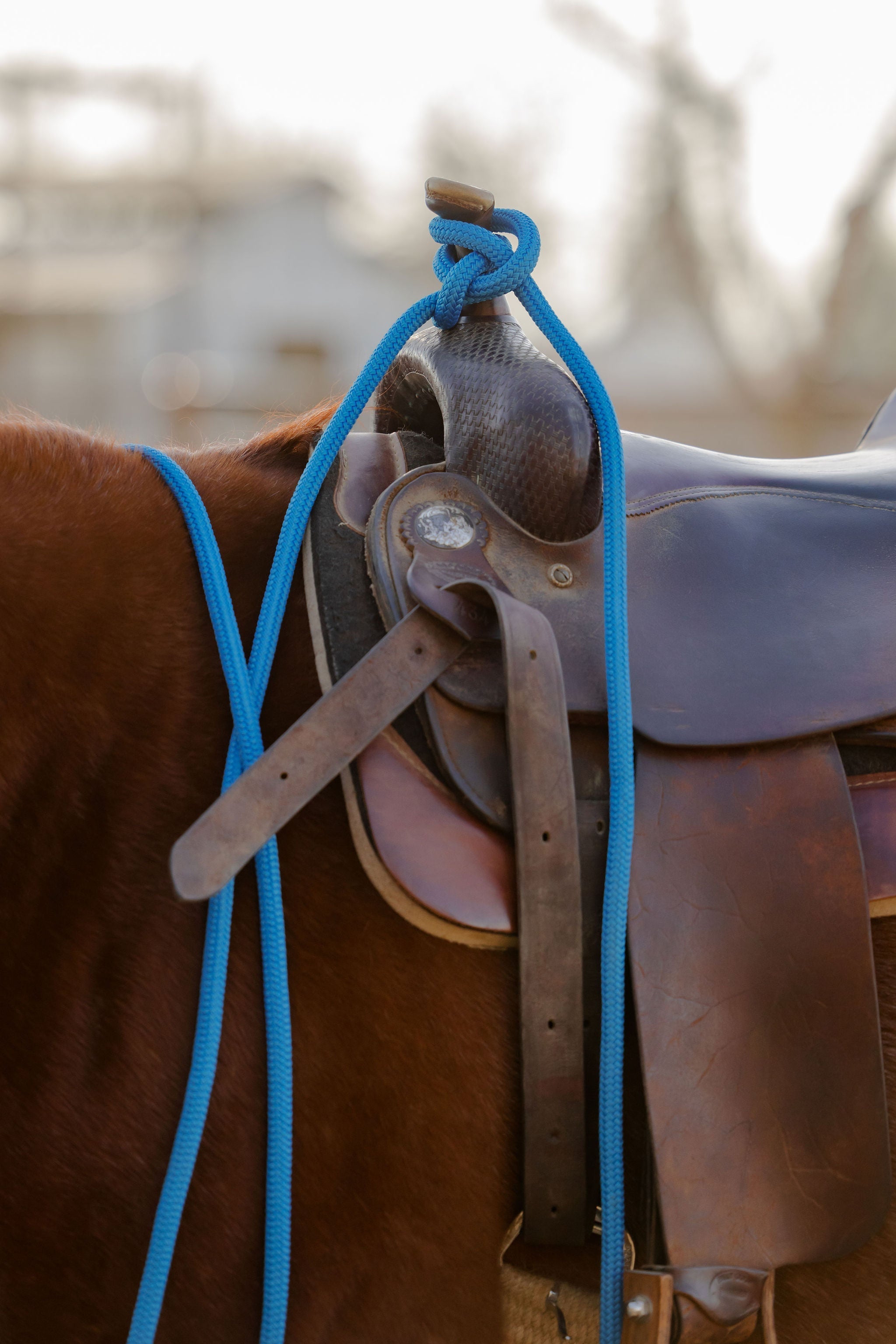 22 Ft Clinician Mecate Reins - 17 Colors!