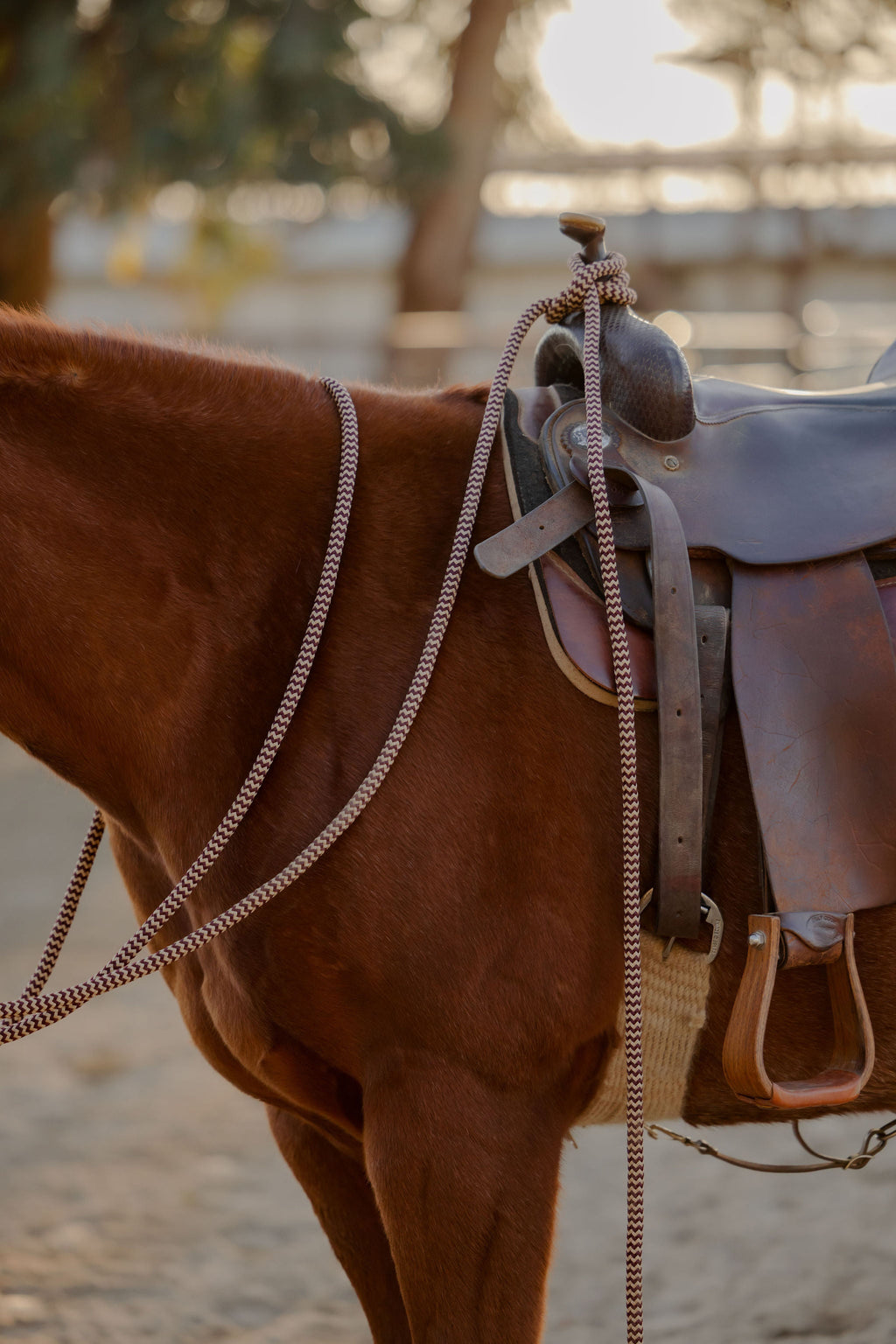 22 Ft Clinician Mecate Reins - 17 Colors!