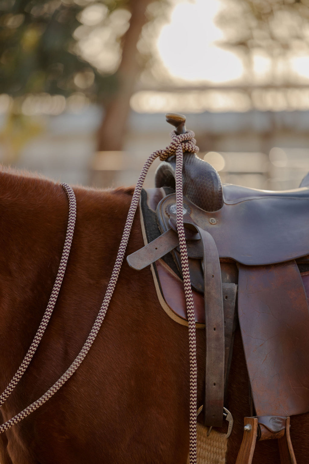 22 Ft Clinician Mecate Reins - 17 Colors!