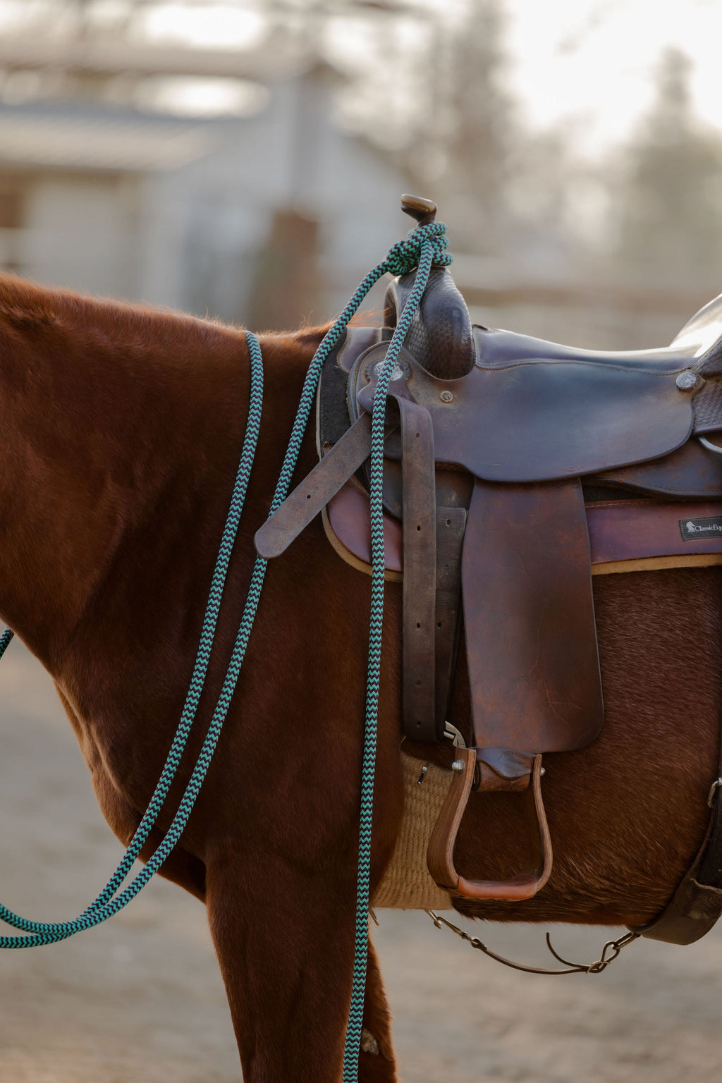 22 Ft Clinician Mecate Reins - 17 Colors!