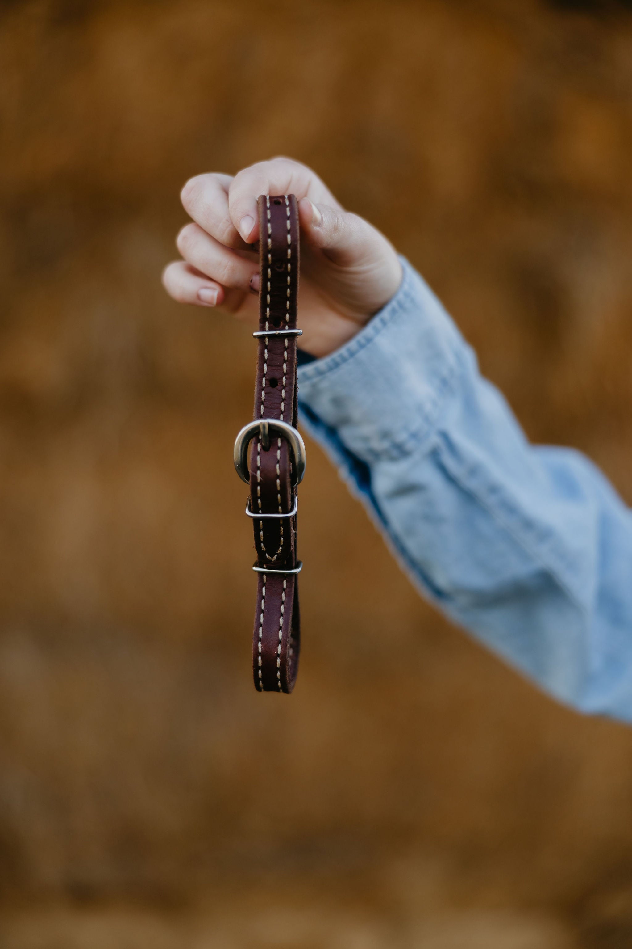 Andrea Equine Oiled Harness Curb Strap