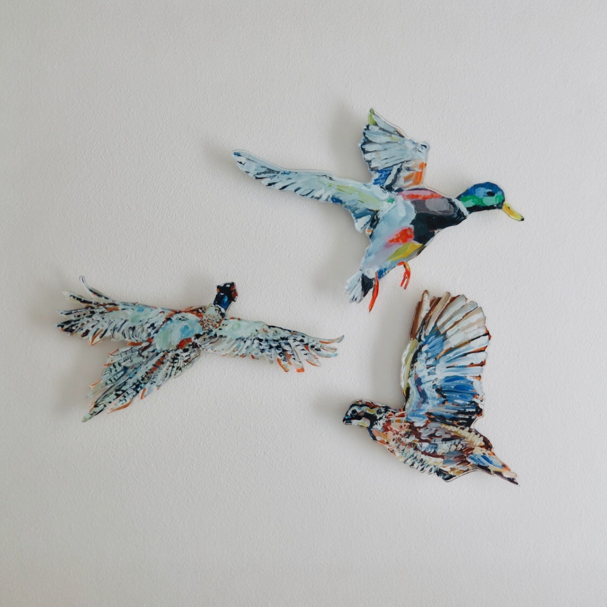 Quail Acrylic Wall Contour | Art by Chelsea McShane