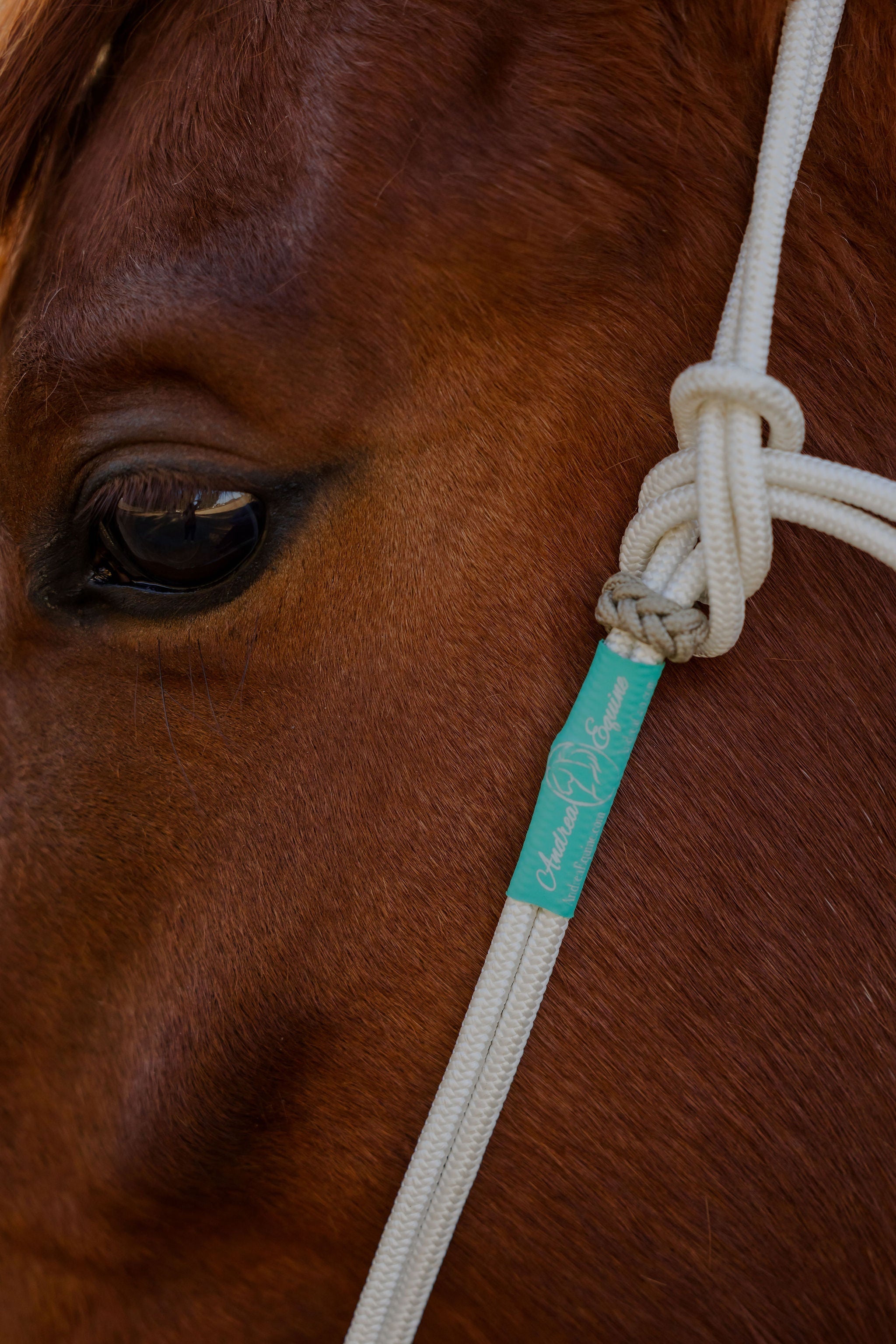 Andrea Equine Signature Rope Headstall