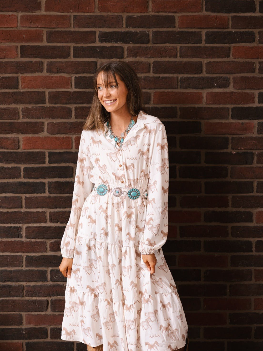The Agnes Horse Print Shirt Dress