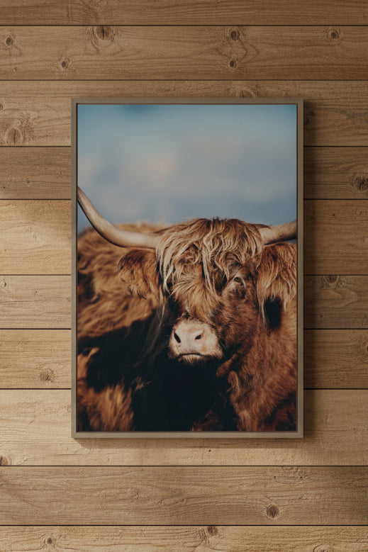 Highland Cow No. 5 by Laura Evans Framed Canvas Wall Art Print